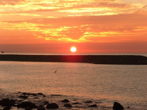 Rize'de Gün Batımı Muhteşem Manzara Oluşturdu 4
