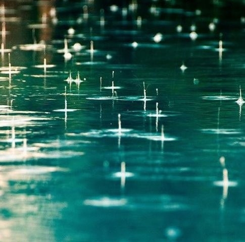 Yağmurlarla Gelen Güzellikler 10