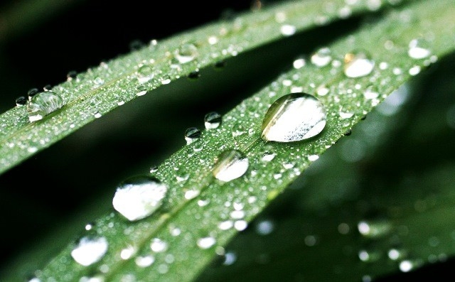 Yağmurlarla Gelen Güzellikler 12