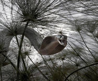 Dünyanın En İyi Fotoğrafları 16