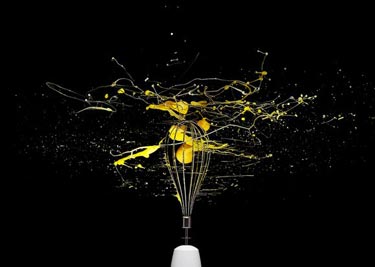 Dünyanın En İyi Fotoğrafları 18