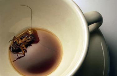 Dünyanın En İyi Fotoğrafları 19