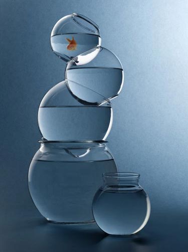 Dünyanın En İyi Fotoğrafları 6