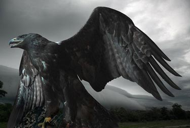 Dünyanın En İyi Fotoğrafları 9