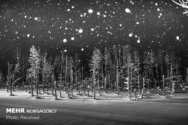 2018 National Geographic Fotoğraf Yarışması Sonuçlandı 4