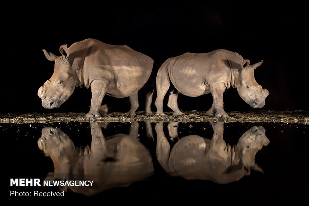 2018 National Geographic Fotoğraf Yarışması Sonuçlandı 8