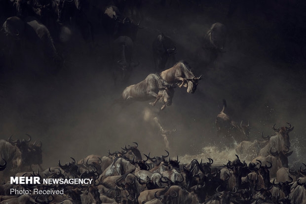 2018 National Geographic Fotoğraf Yarışması Sonuçlandı 9