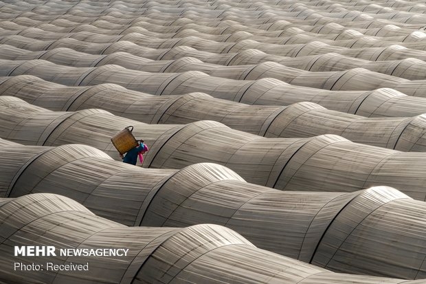 Dünya Üzerindeki Mülteci Sorunu 5