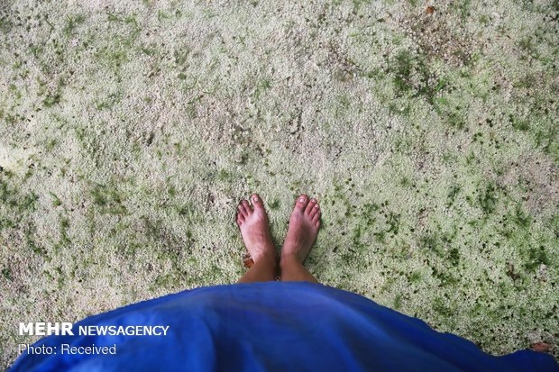 Dünya Üzerindeki Mülteci Sorunu 6