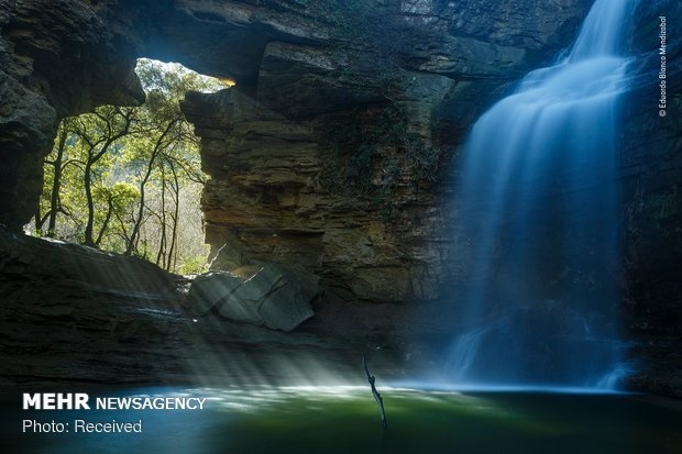 Vahşi Doğa Fotoğraf Yarışması 10