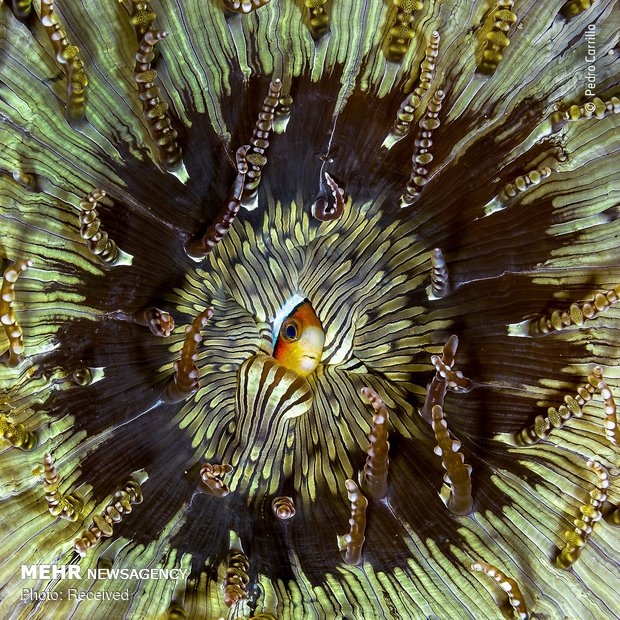 Vahşi Doğa Fotoğraf Yarışması 16