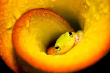 Ödüllü Doğa Fotoğrafları 1