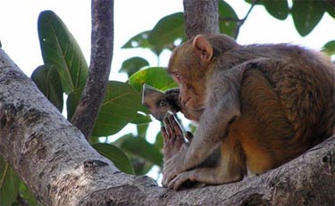 Ödüllü Doğa Fotoğrafları 13