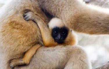 Ödüllü Doğa Fotoğrafları 2