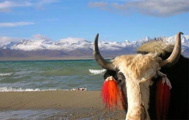 Ödüllü Doğa Fotoğrafları 3