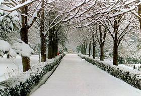 Tahran'da Şiddetli Kar Hayatı Felç Etti