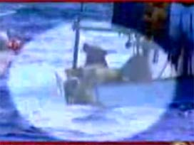 30 Kenya'lıyı Nehirde Boğdular