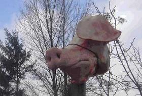 Camiye kesik domuz başı koydular!