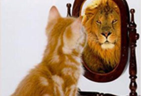 Kedi'nin yıkıldığı an(video)