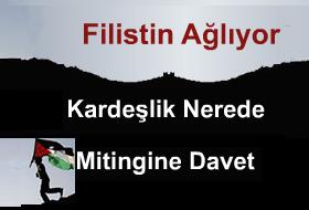 Gazze Eylemleri Programı