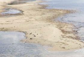 Şarköy'de Deniz 40 Metre Çekildi