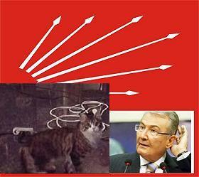 Baykal’ın Kedisinin Adı Bile…