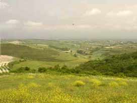 Yabancılara En Çok Arazi Satan İller