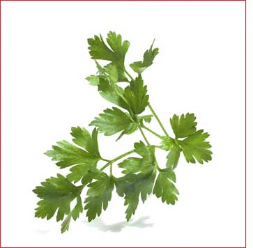 Ege Üniversitesi'nden Kel Alakalı Mesaj