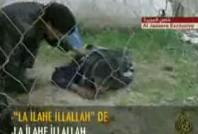 Filistin'den Şehadet Anı (VİDEO)