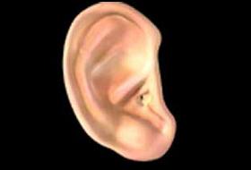 Kolombiya'da telekulak skandalı!