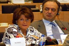 AP'den Türkiye Raporu