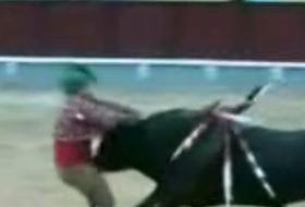 Boğanın İntikamı Kötü Oldu (VİDEO)