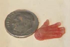 Clinton ve Obama, kürtajı savundu