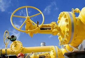 İran ile Türkmenistan Doğal Gazda Anlaştı