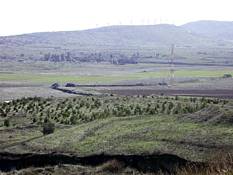 Hahamlar: Golan'ı Vermek "Şeriata" Aykırıdır