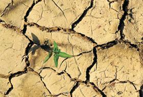 Diyarbakır'da Yağmur Duası
