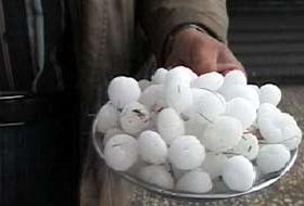 10 dakikalık dolu, tarım alanlarını vurdu