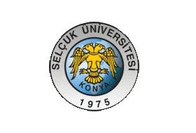 Selçuk Üniversitesi'ne inceleme