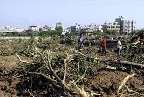 Tarımda En Çok Filistin Çiftçisi Mağdur