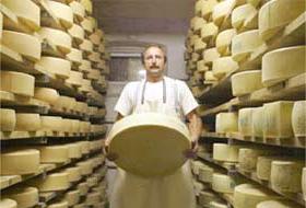 Peynir vurgununa polis müdahalesi