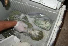 Üniversiteye Uyuşturucu Baskını