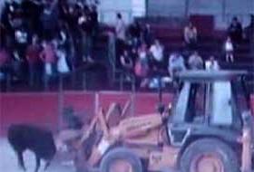 İspanya'da Vahşet (FOTO)