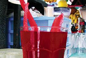 1 milyon dolarlık şalgam yatırımı