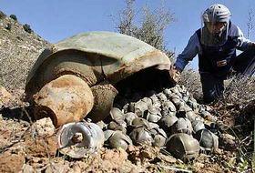 "Suud Misket Bombası Kullanıyor"