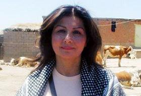 Nil Demirkazık'a hapis cezası