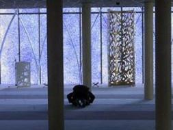 İslam fobisine karşı şeffaf cami