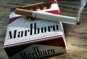 Philip Morris'in rapor oyunu