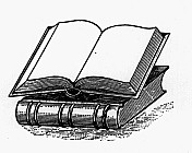 Afrikalı için özel İncil