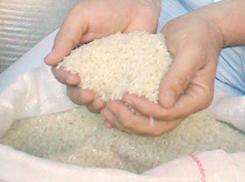 İthal pirinç Ramazan'da fiyatları ucuzlatacak
