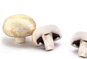 Çin, Mantar Üreticilerini Mağdur Etti